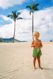 Cruz Boardshort in Beach Bound