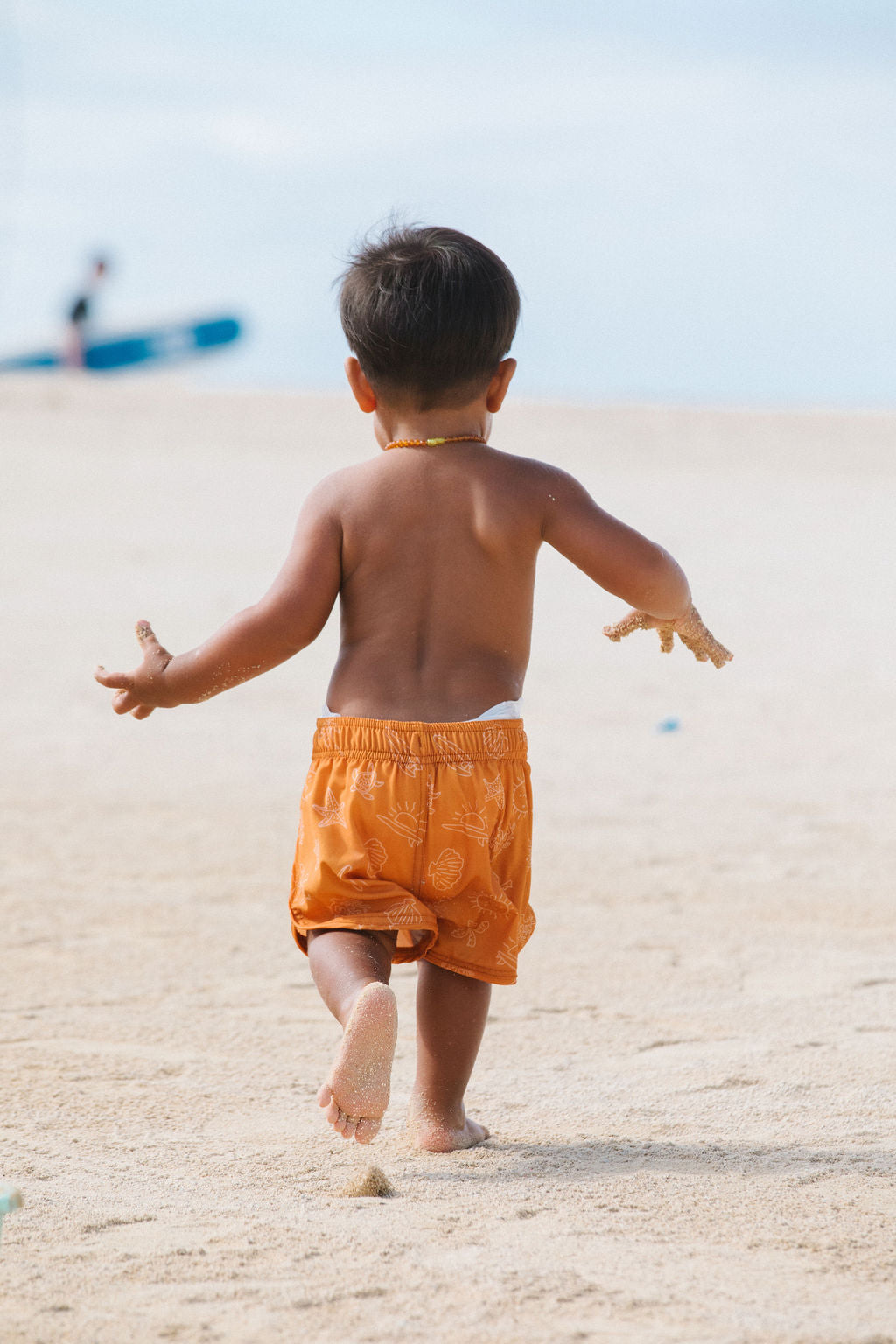 Cruz Boardshort in Around the Reef