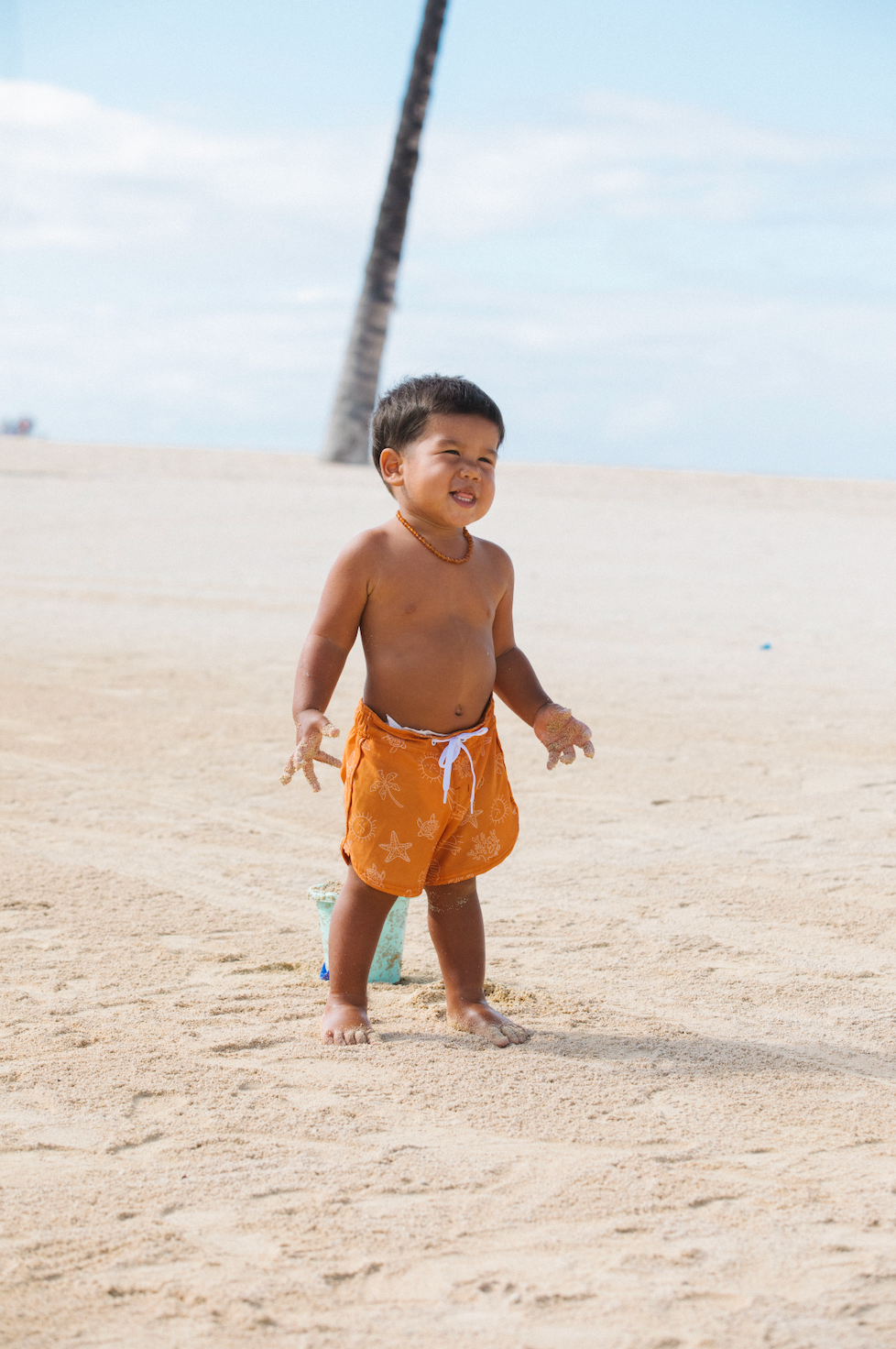 Cruz Boardshort in Around the Reef